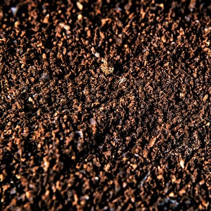 Kuma Bottle コーヒー豆