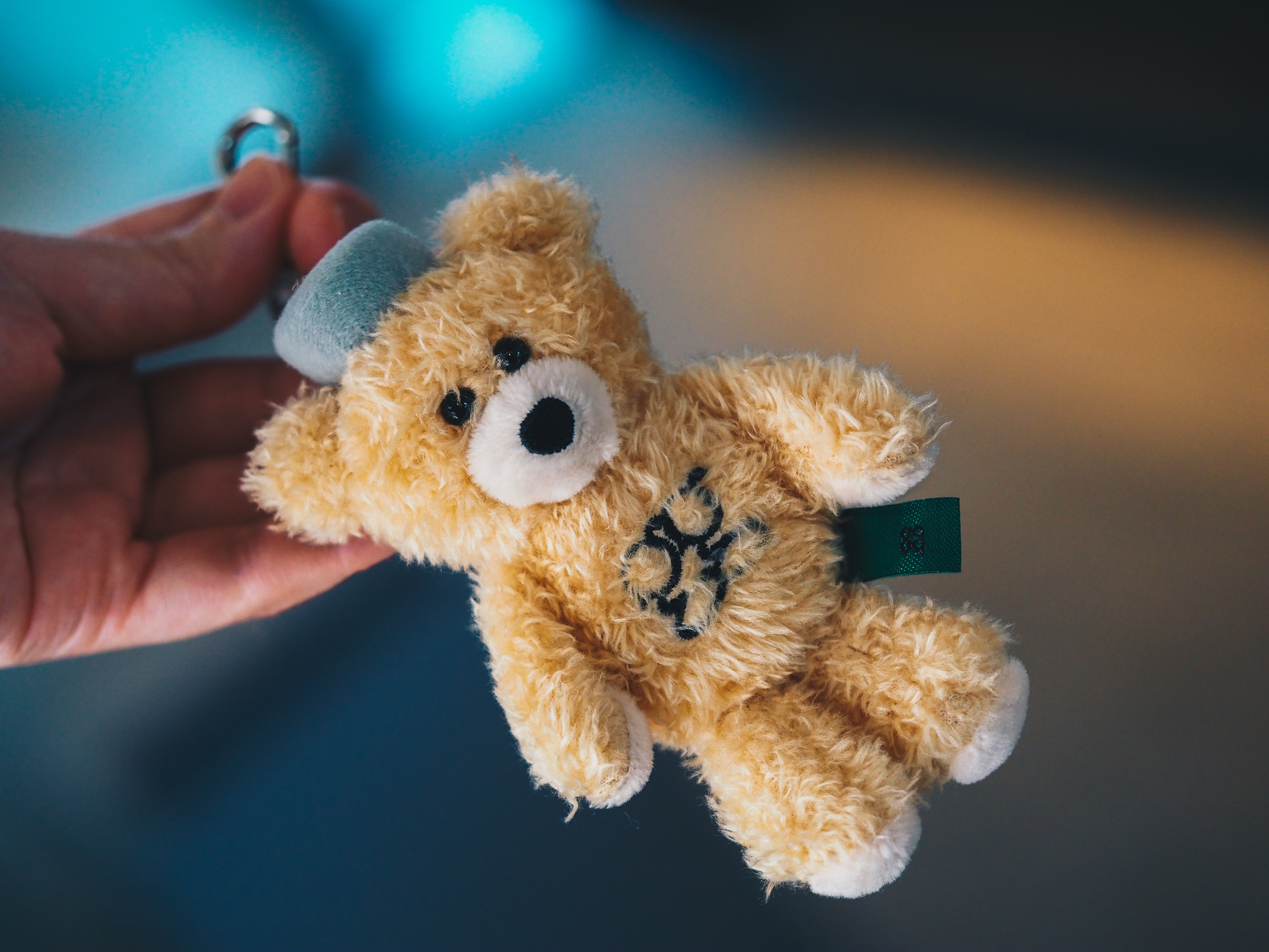 gg kuramae – Green Good Bear ｜gg kuramae